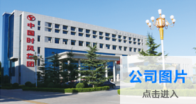 9001cc金沙以诚为本(中国)有限公司官网